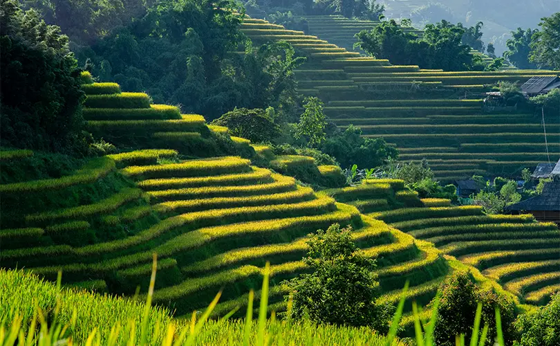 Sapa - Tempat Wisata Terkenal di Vietnam